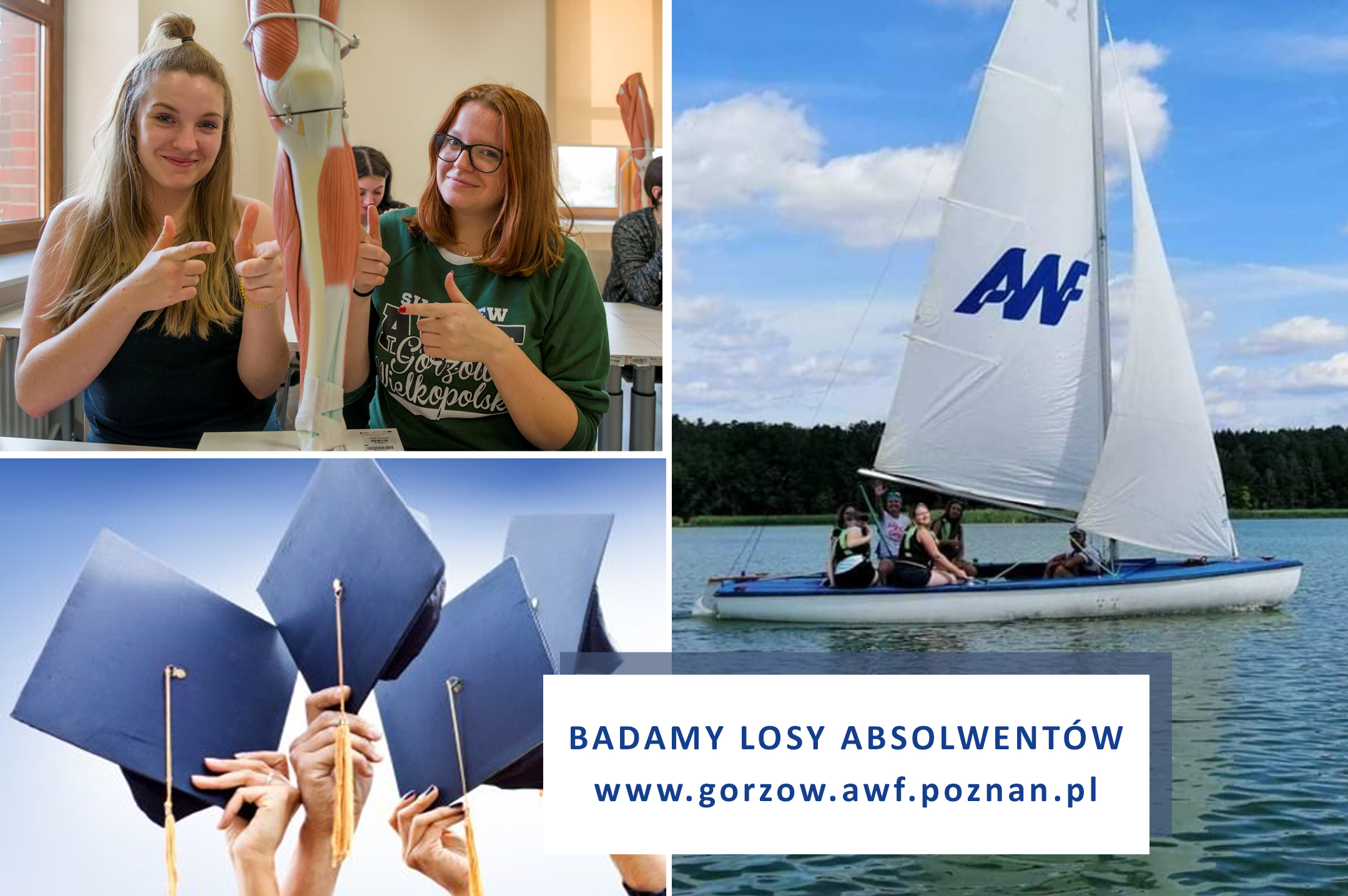 losy absolwentow